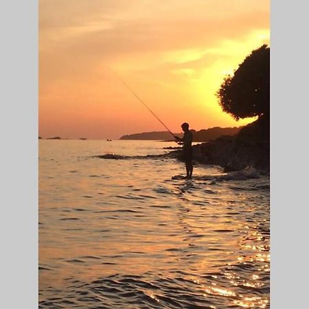 Viva 1 Rovinj Διαμέρισμα Εξωτερικό φωτογραφία