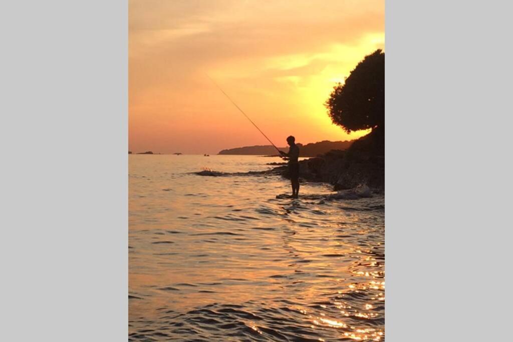 Viva 1 Rovinj Διαμέρισμα Εξωτερικό φωτογραφία