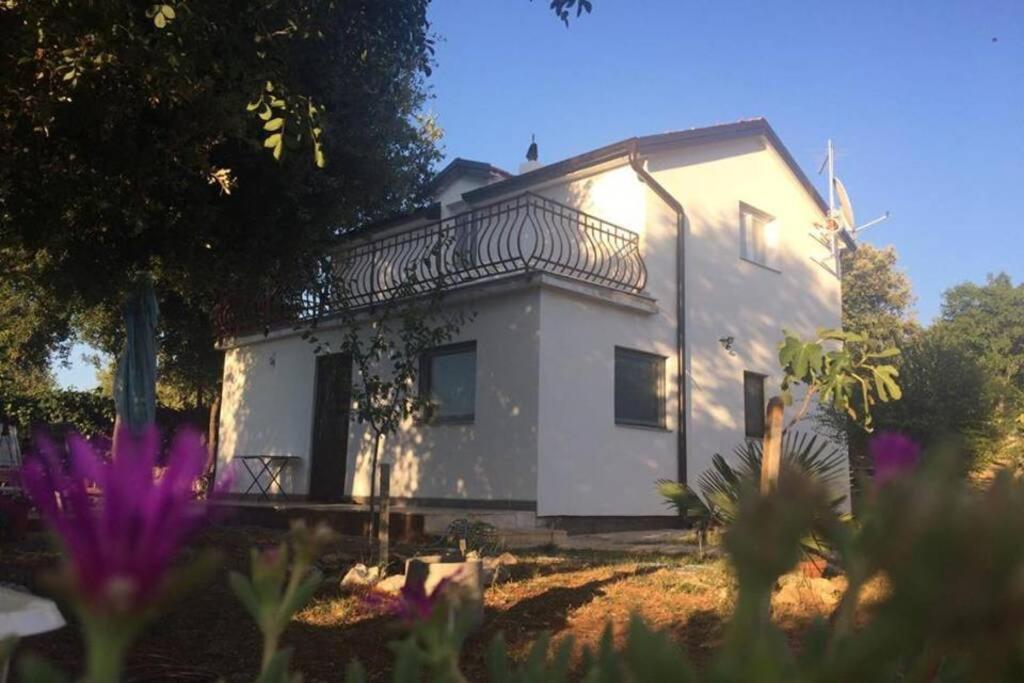 Viva 1 Rovinj Διαμέρισμα Εξωτερικό φωτογραφία